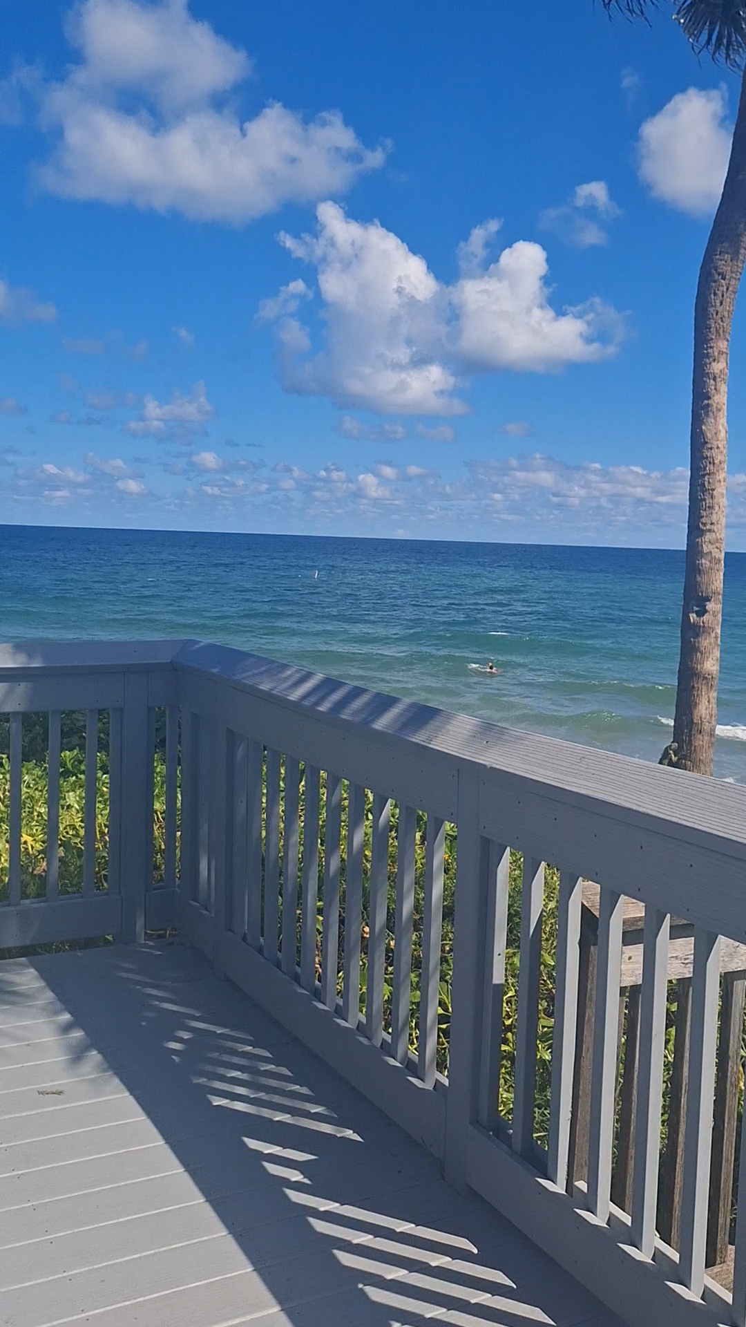 Cruise Brothers Travel Agent Suzette Reid